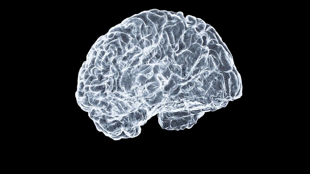 3D illustration of a human brain in a wireframe style