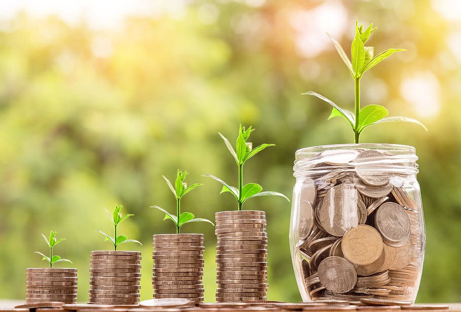 Plant growth represented by coins stacked in ascending order with a jar of coins in the foreground