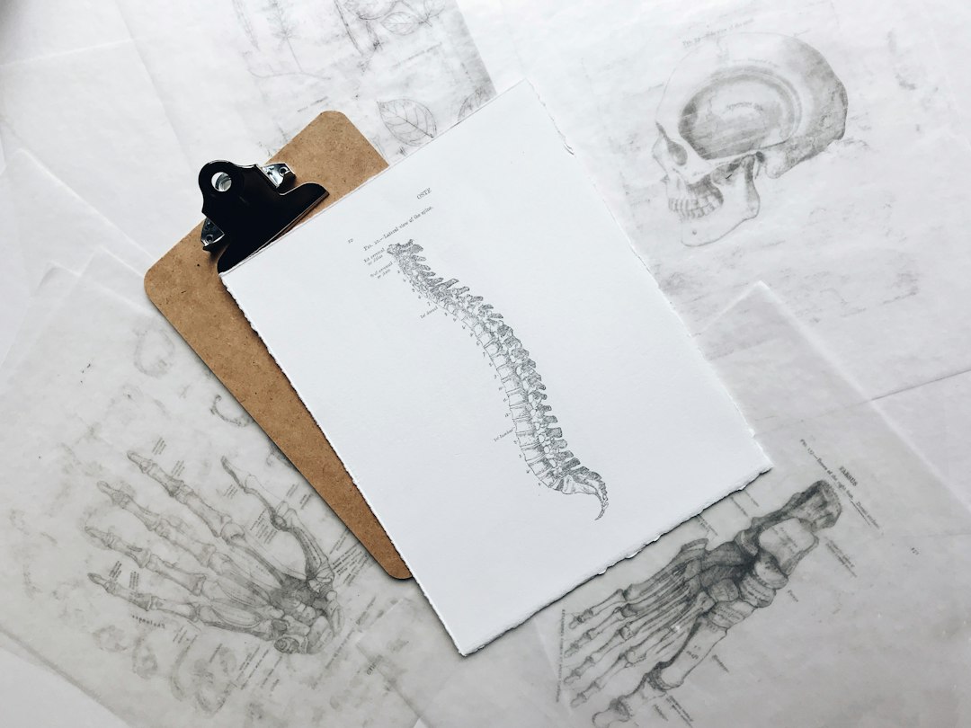 chiropractic perspective